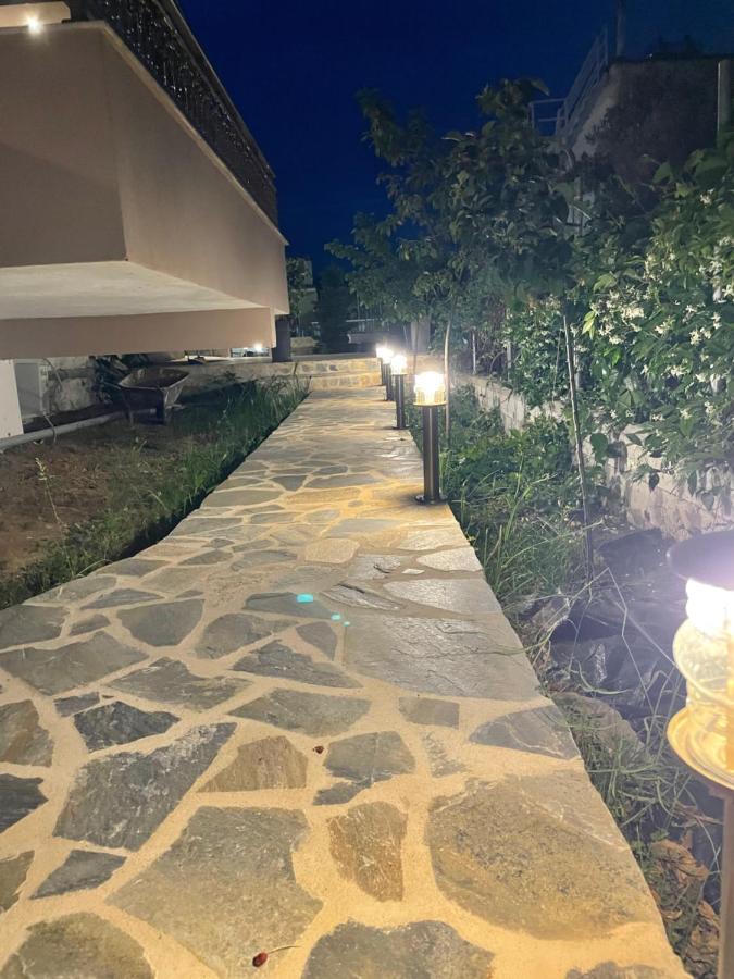スカラ・ソティロスPasithea Houseアパートメント エクステリア 写真